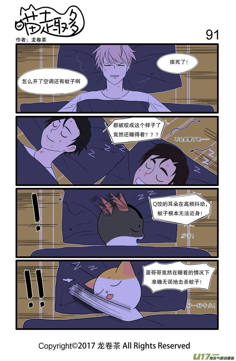 喵趣多91 说起夏天就是与蚊子相伴的季节