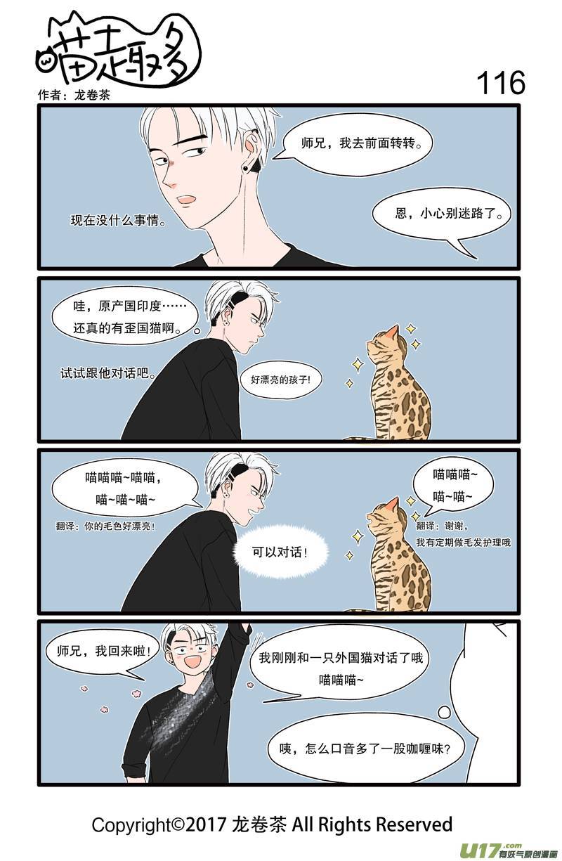 喵趣多116 学语言最怕遇到带口音的外教