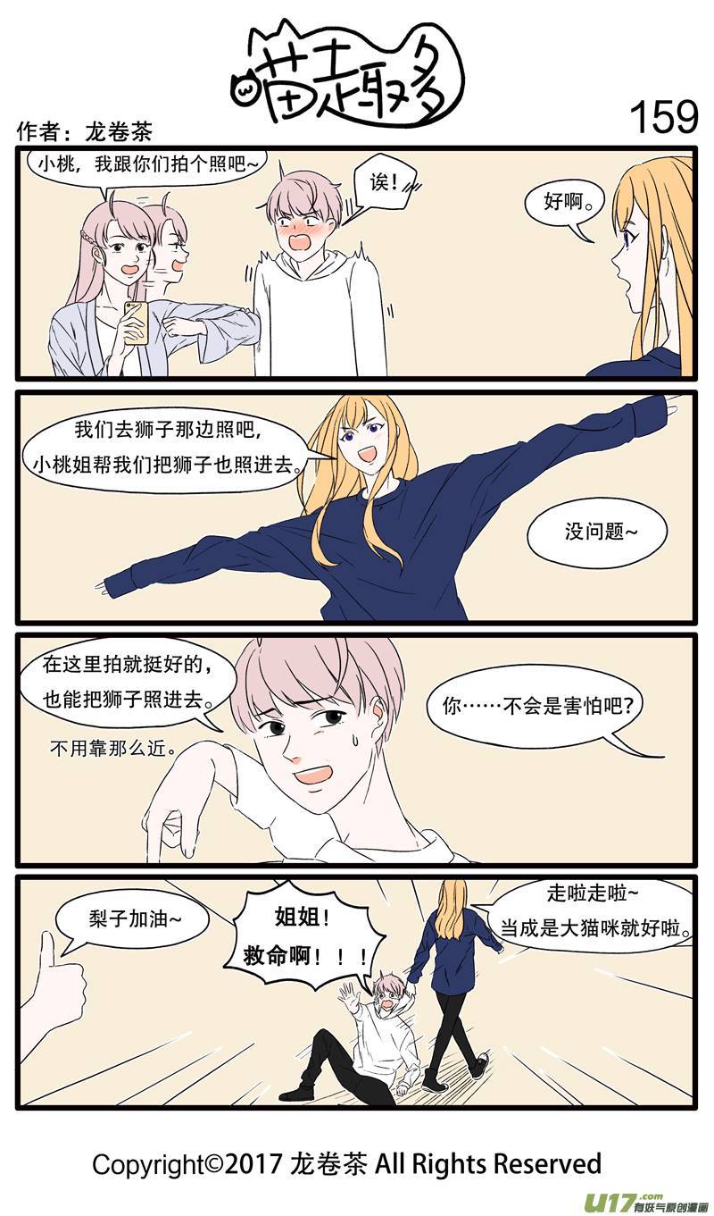 喵趣多159 总有人不爱热门拍照点