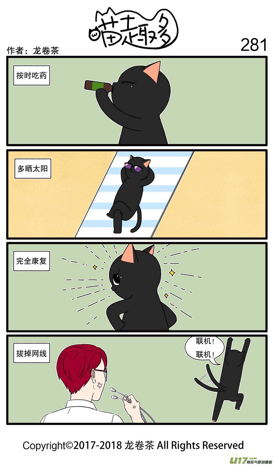 喵趣多281 谨遵医嘱康复快