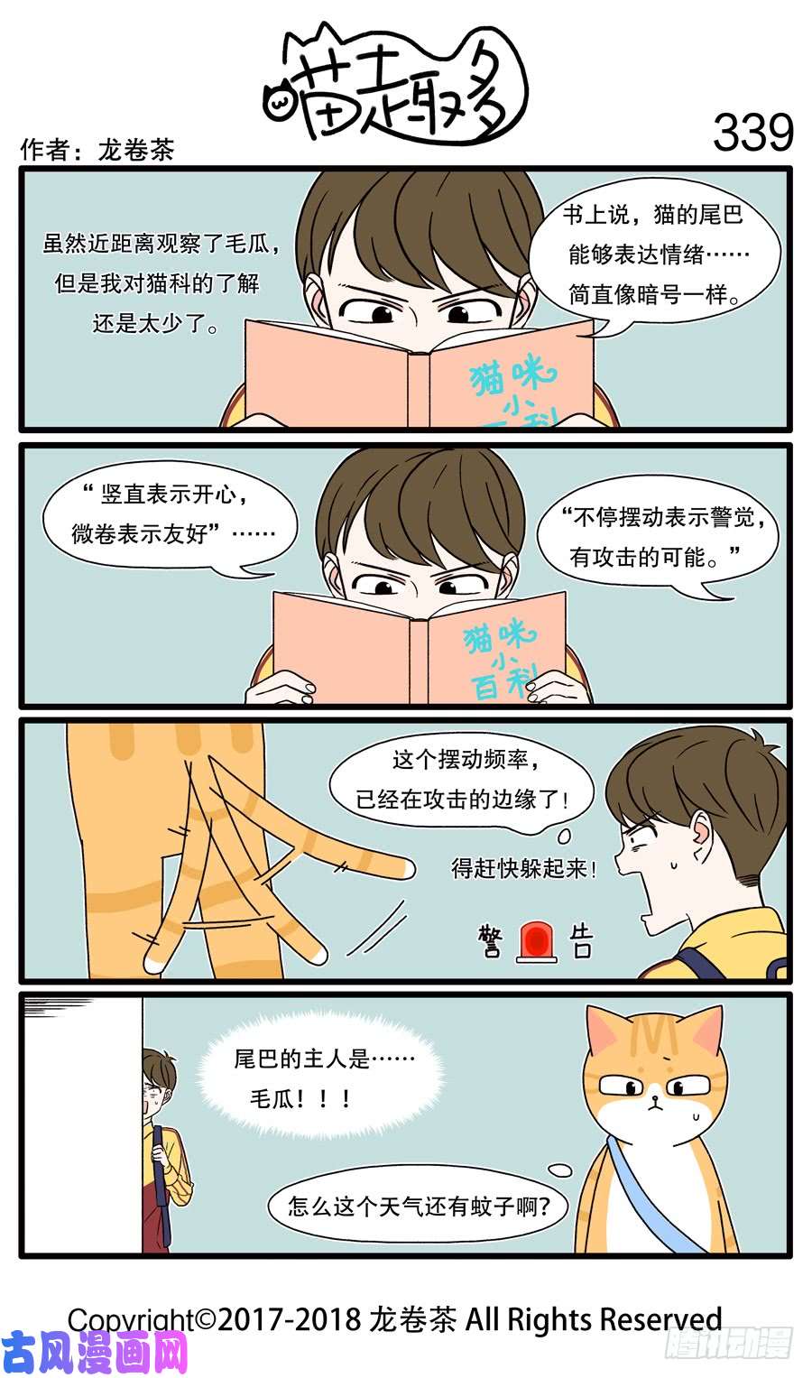 喵趣多339