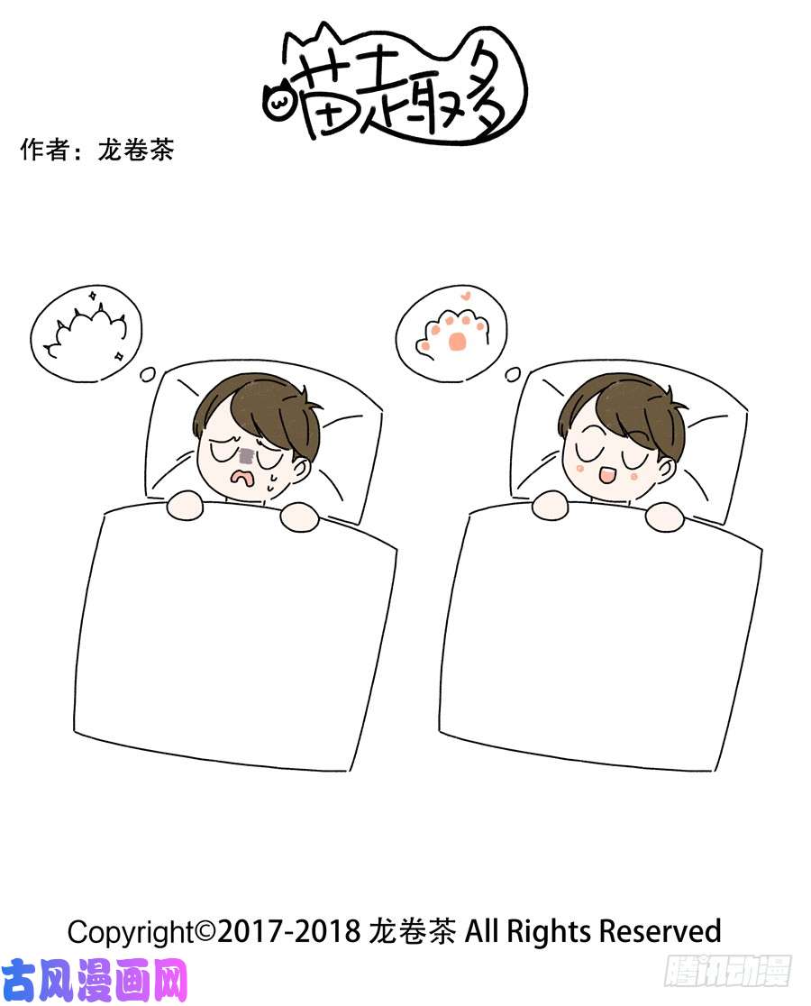 喵趣多342
