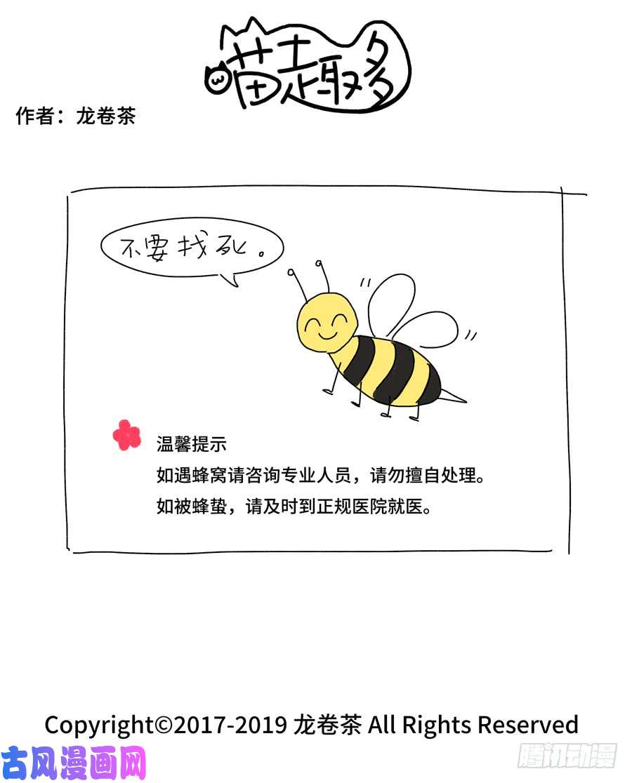 喵趣多2019 春节特别篇 2