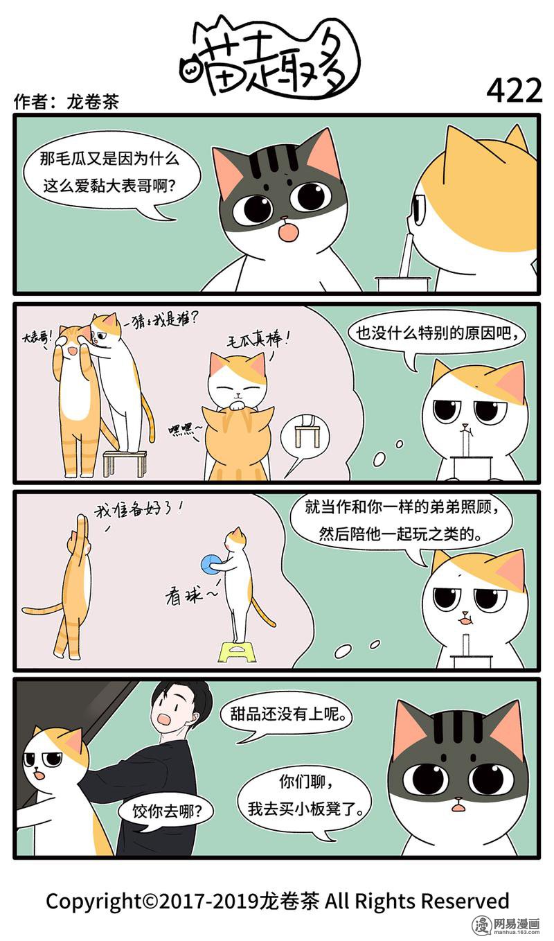 喵趣多422 小板凳是必入家具