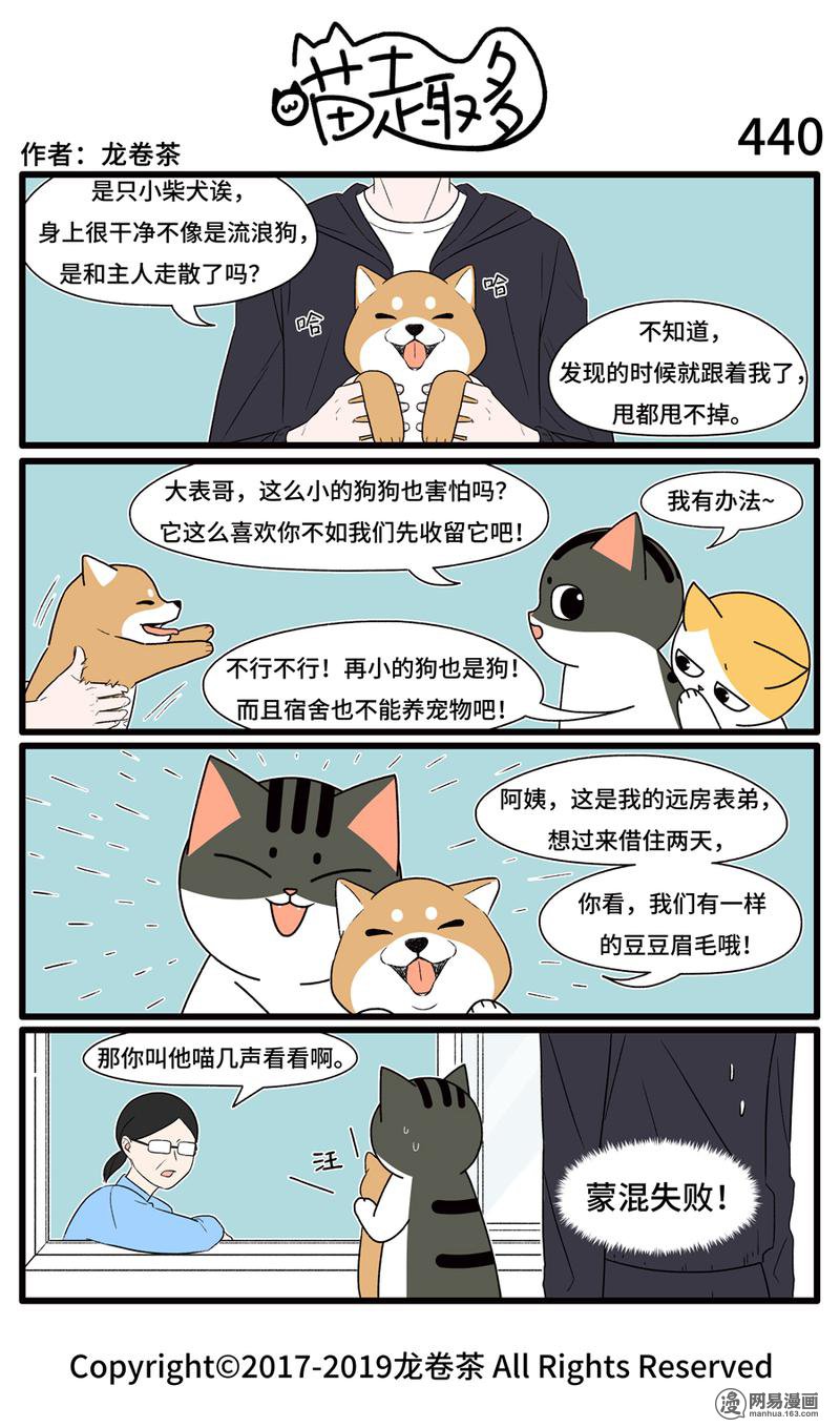 喵趣多440 指汪为喵