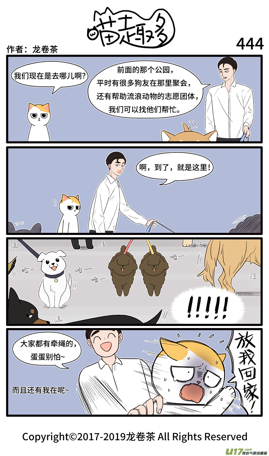 喵趣多444 公园是遛狗的好地方