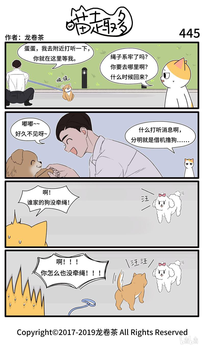 喵趣多445 出门遛狗记得牵绳