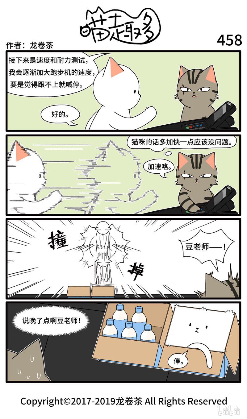 喵趣多458 跑步机不宜速度过高