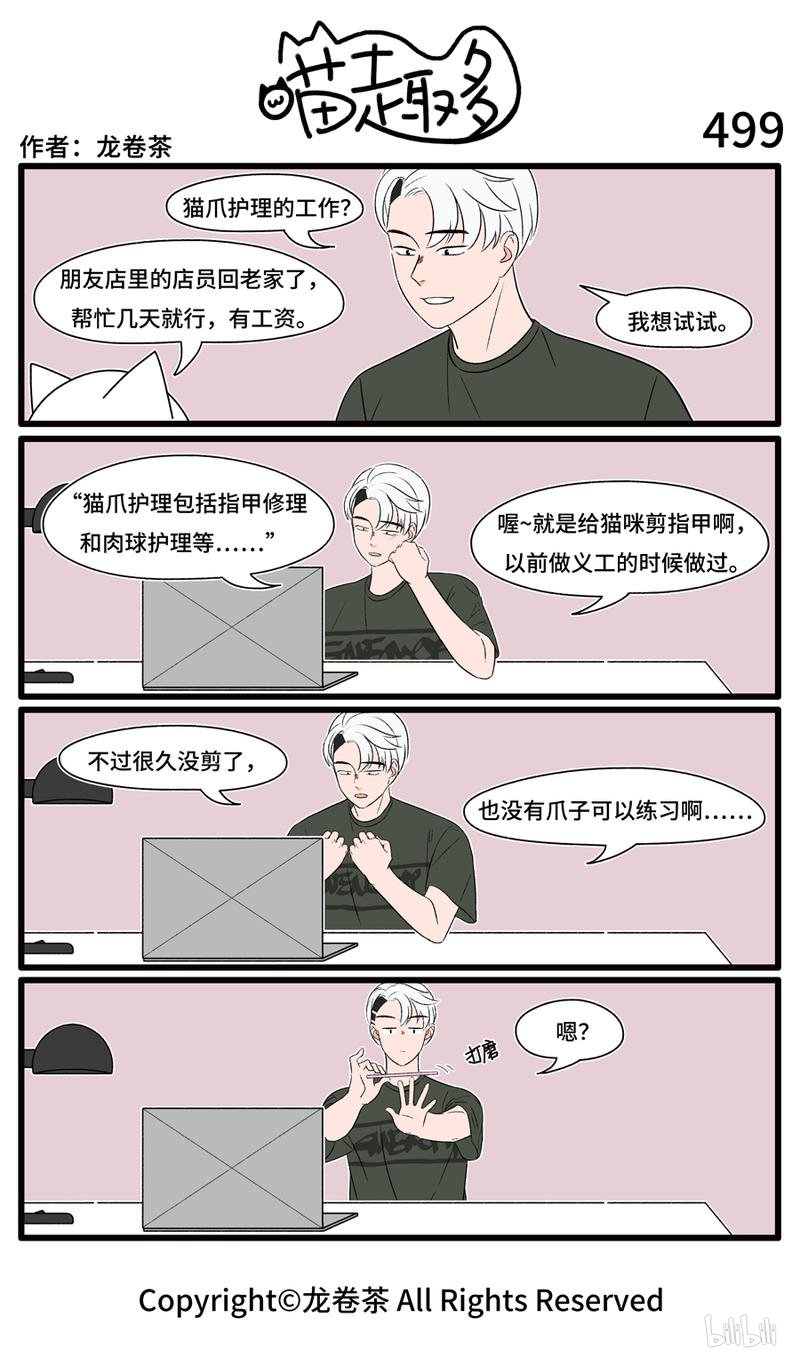 喵趣多499 实践出真知