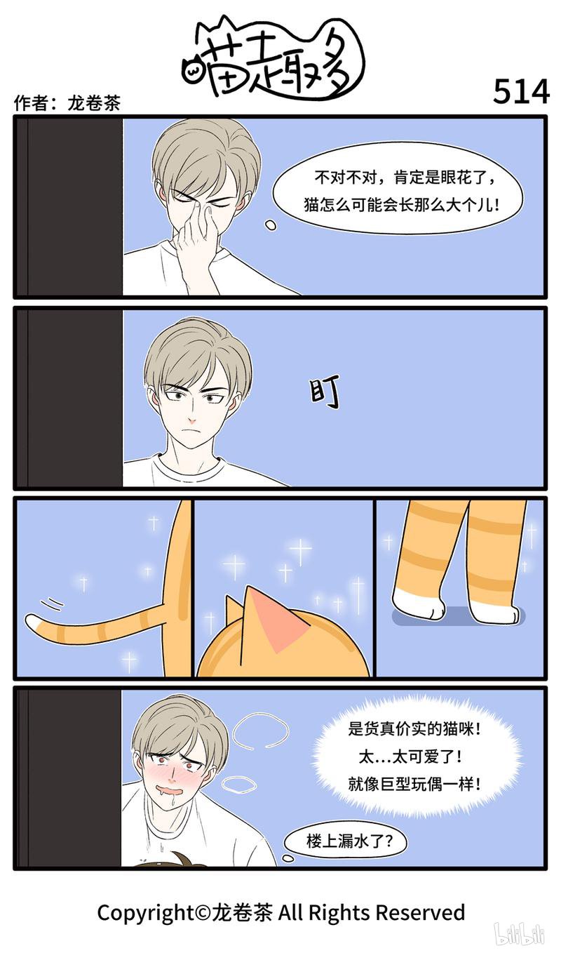 喵趣多514 为猫咪擦亮双眼