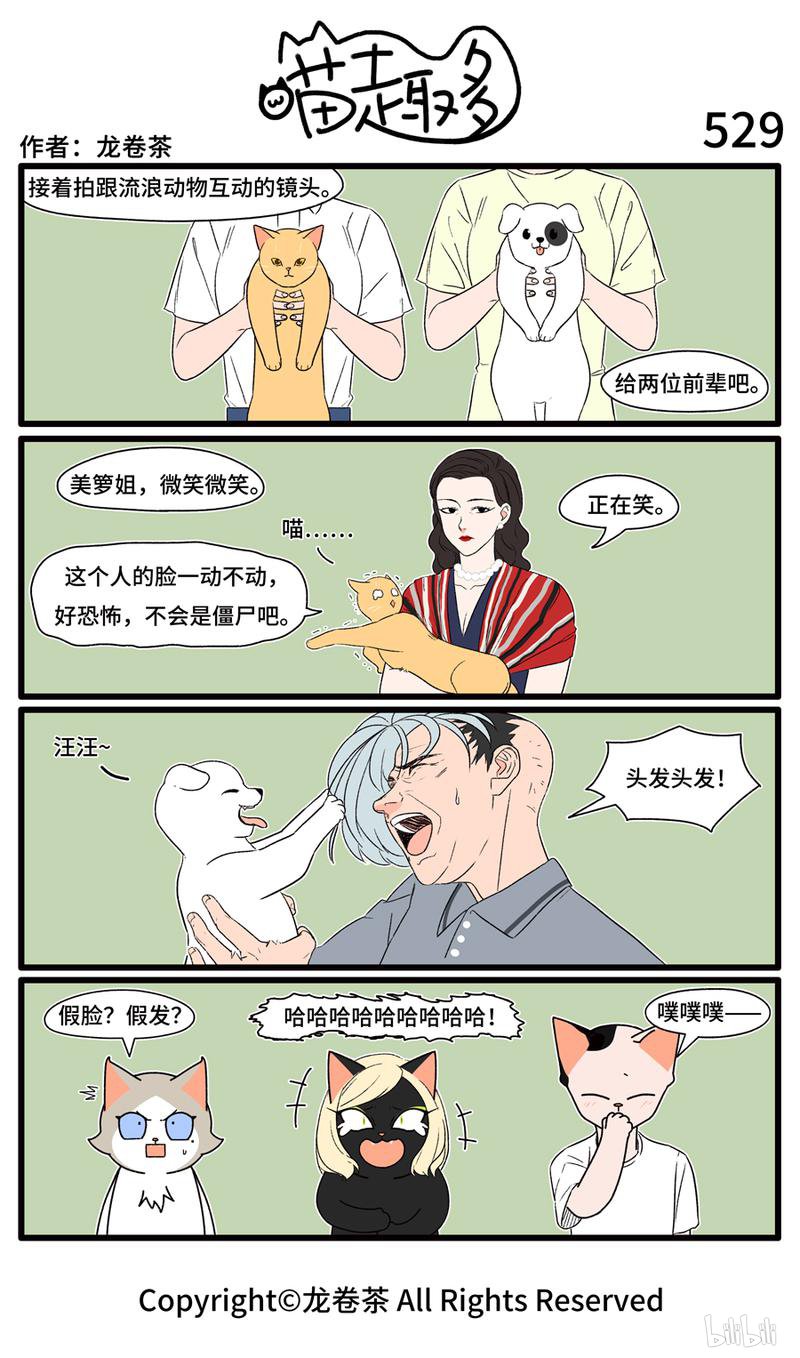 喵趣多529 外形管理过犹不及