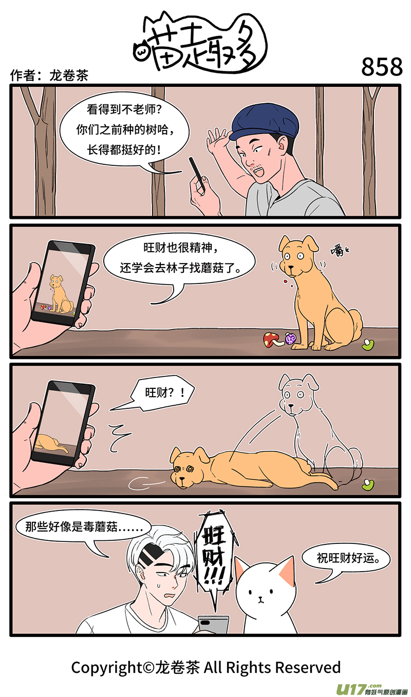 喵趣多853-858