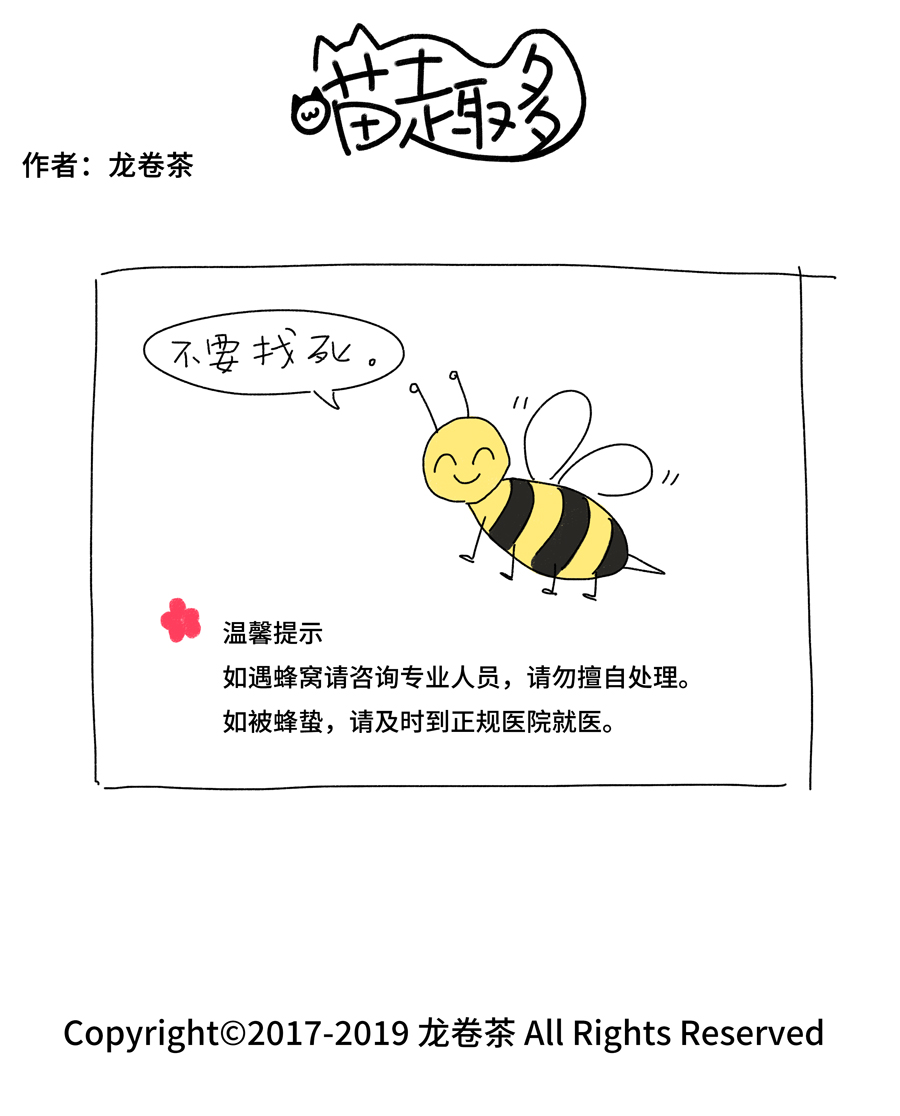 喵趣多番外 2019春节特别篇