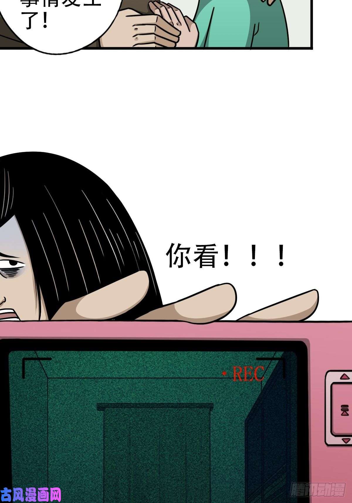 斗厌神埋猫狗（下）