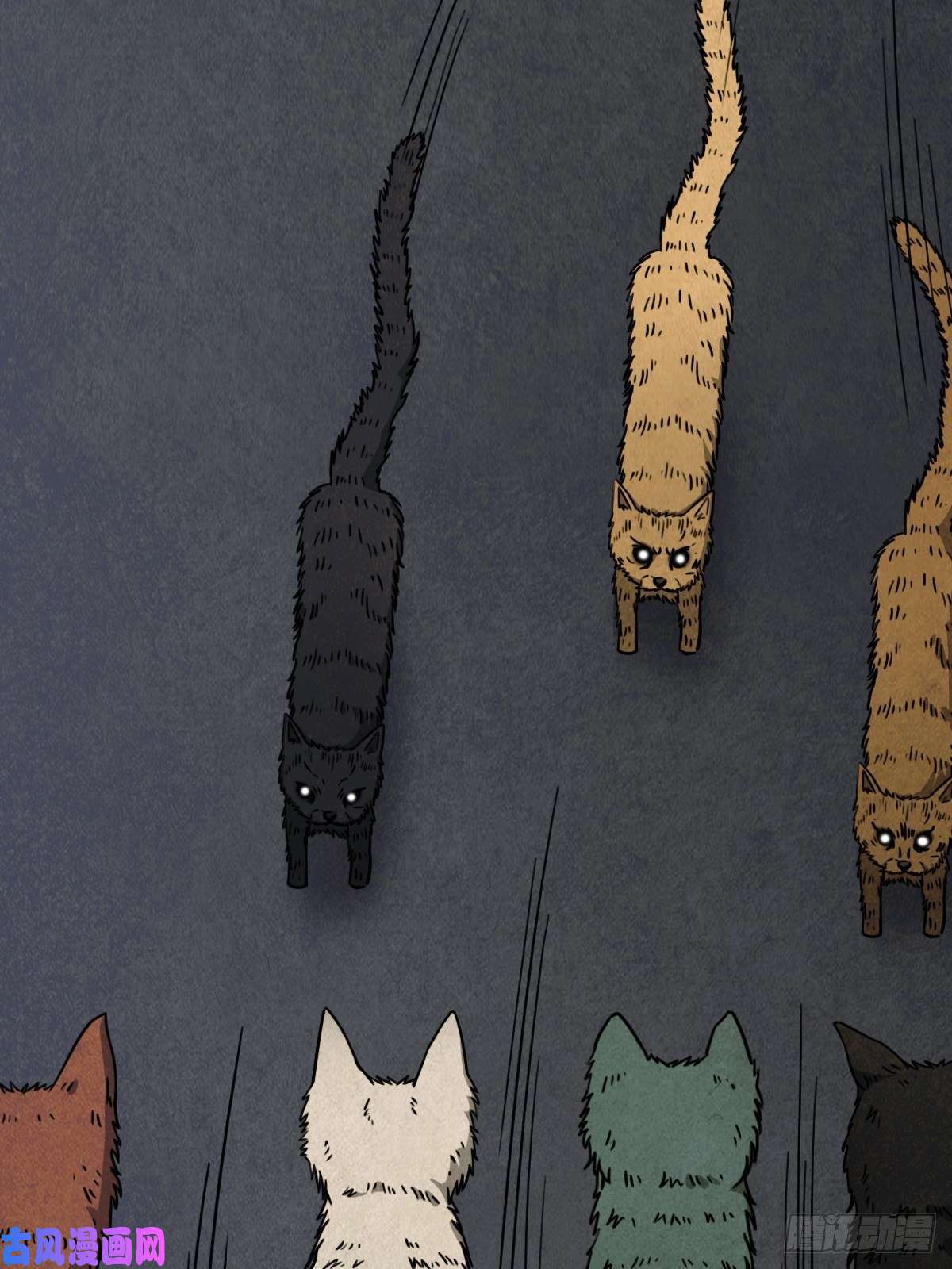 斗厌神埋猫狗（下）