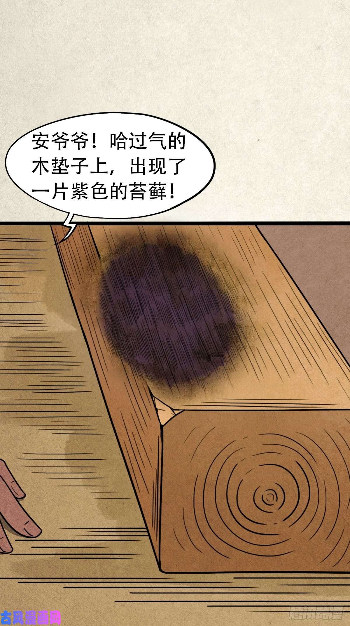 斗厌神埋猫狗（下）