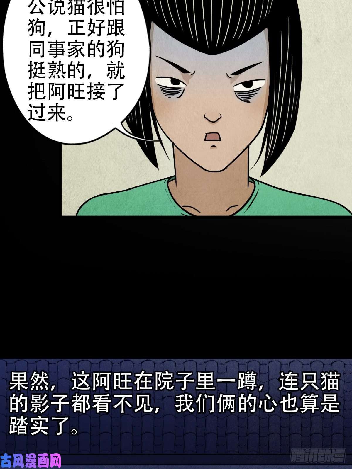 斗厌神埋猫狗（下）