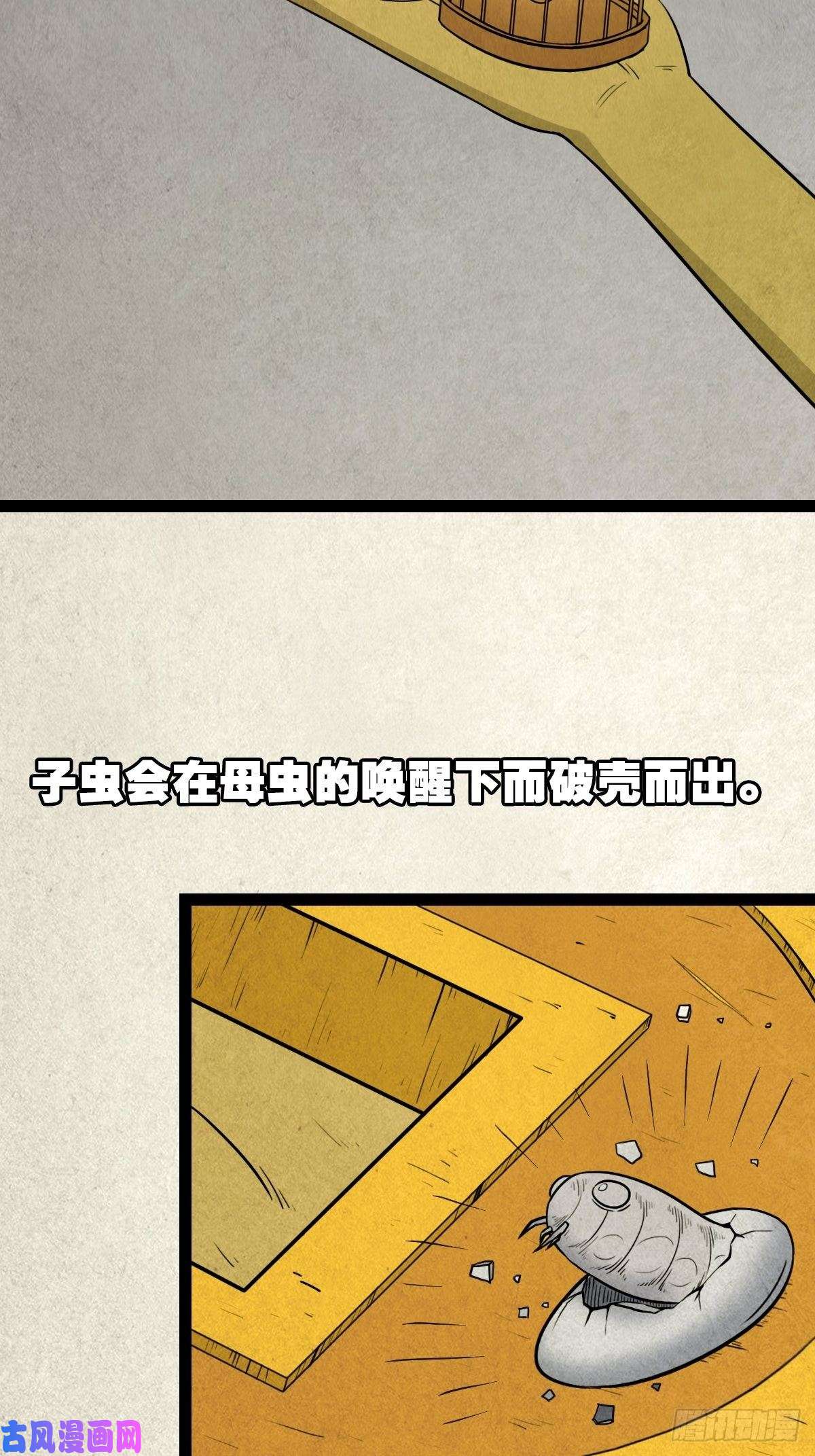 斗厌神青蚨术（上）