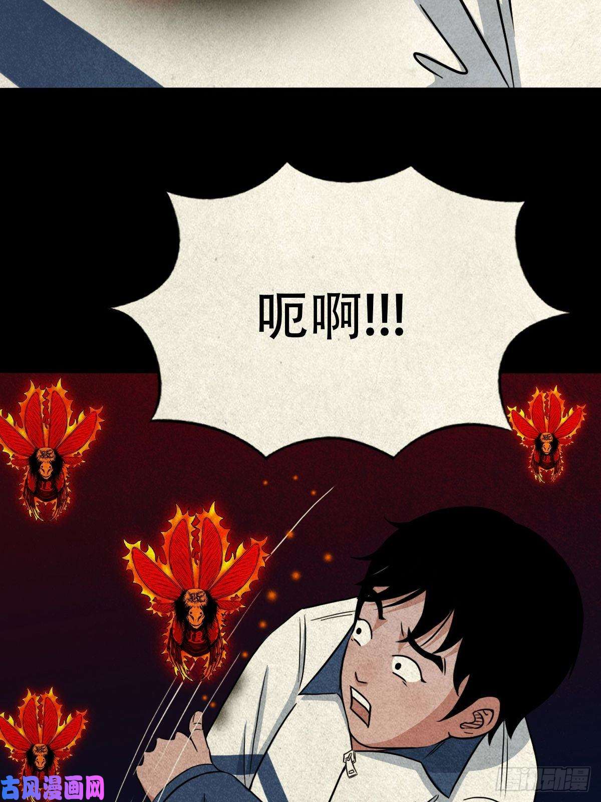 斗厌神飞虎将军蟾