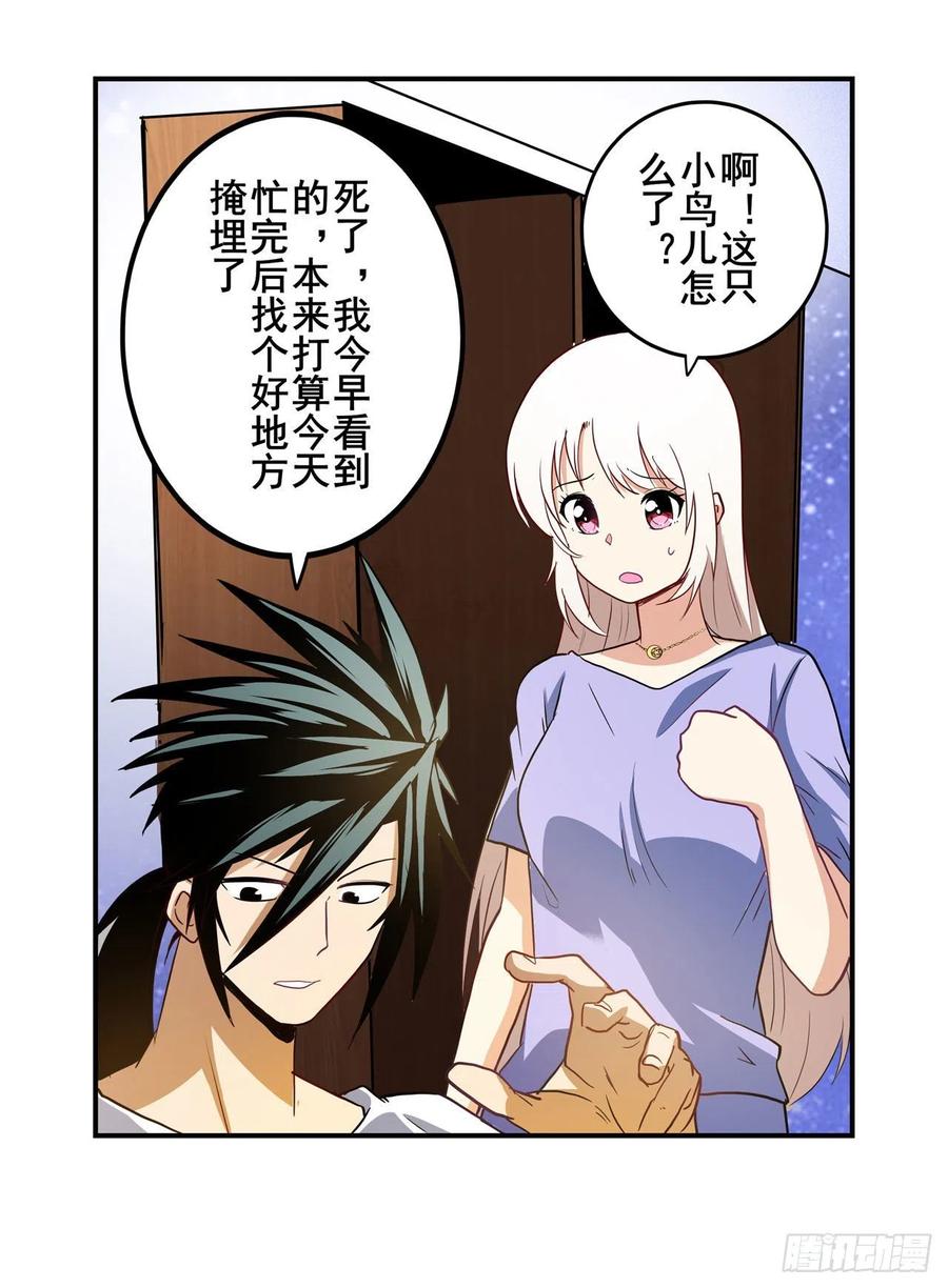 英雄再临（英雄？我早就不当了）生命的辉光