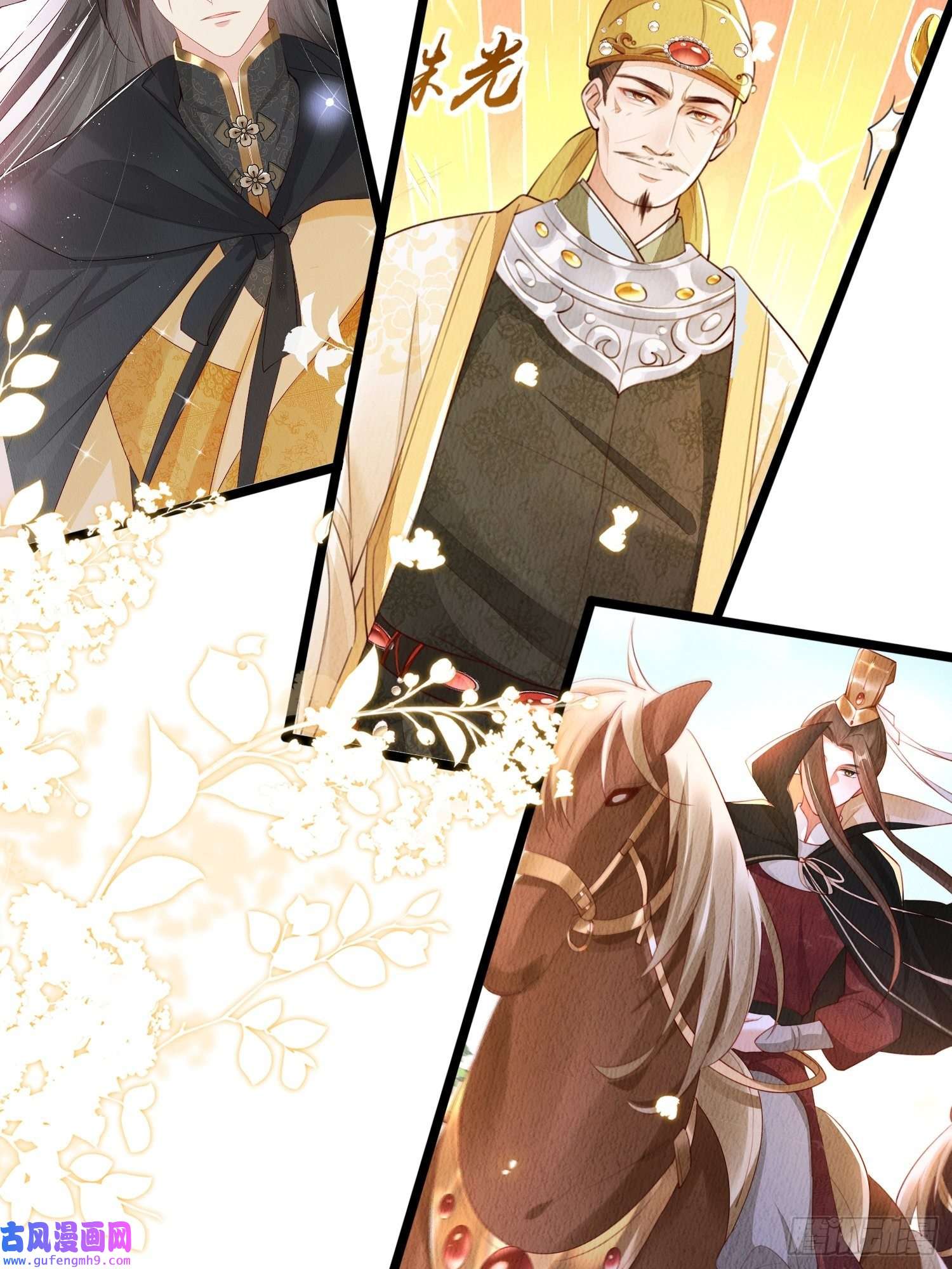 我花开后百花杀预告