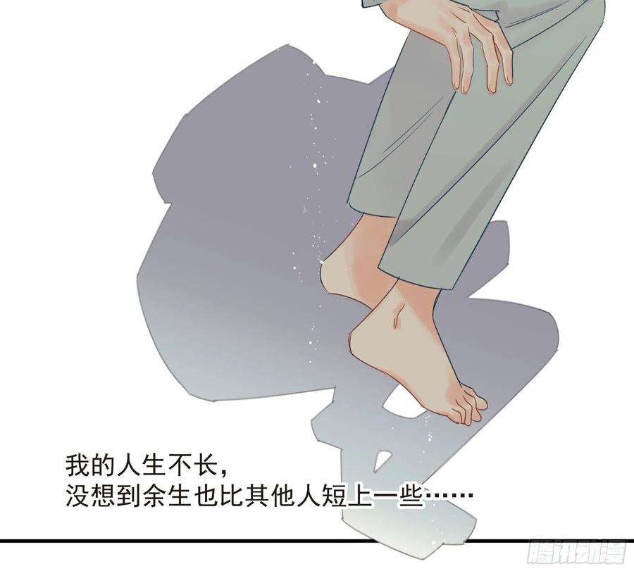 种子与十日十夜倒数时刻