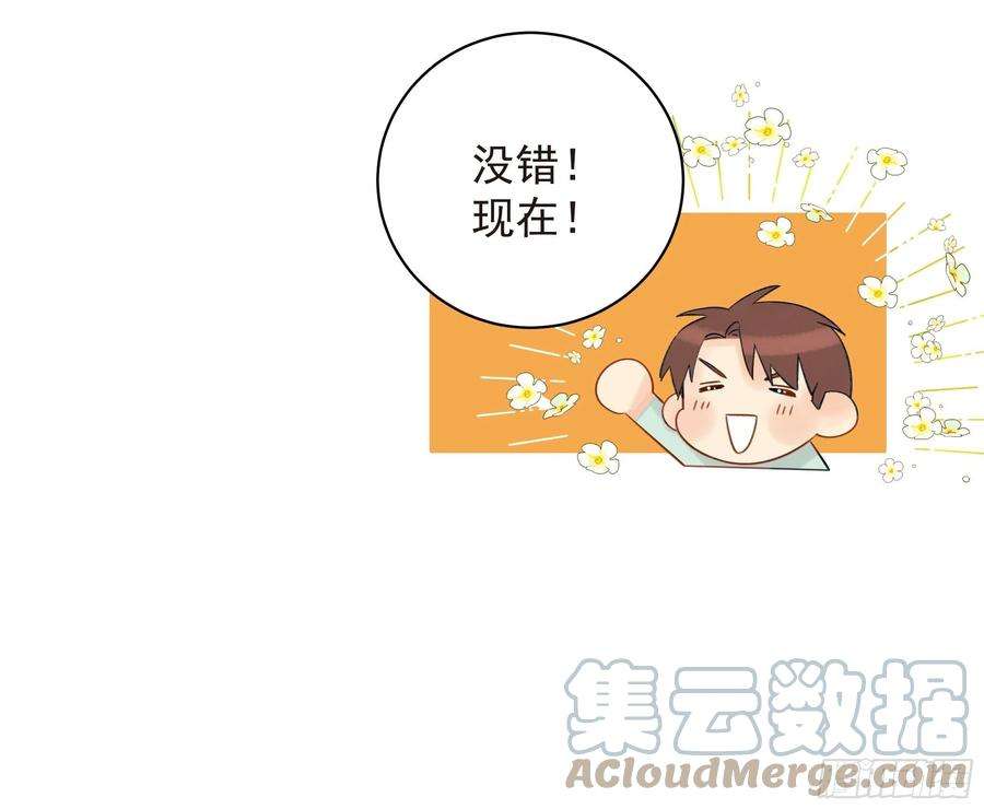 种子与十日十夜倒数时刻