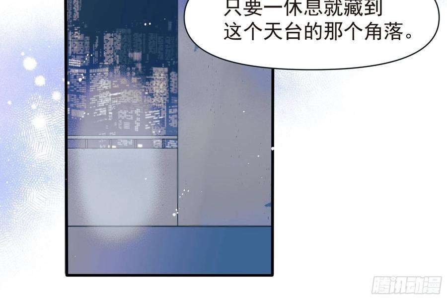 种子与十日十夜倒数时刻