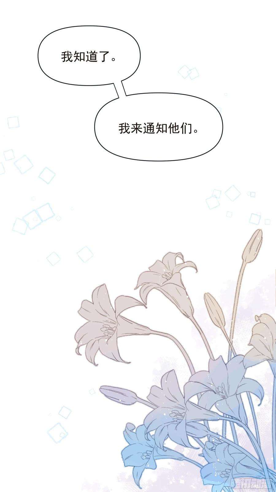 种子与十日十夜倒数时刻