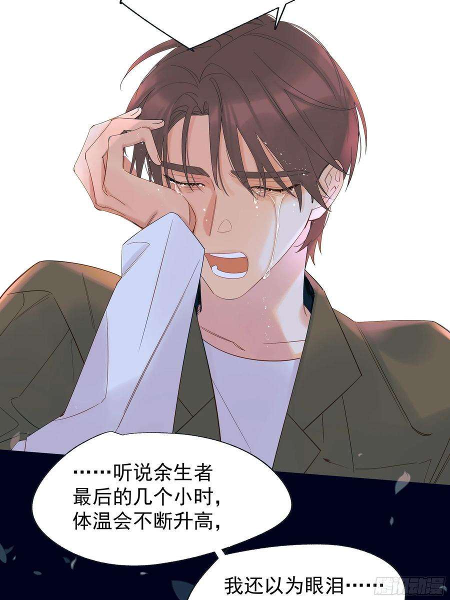 种子与十日十夜倒数时刻