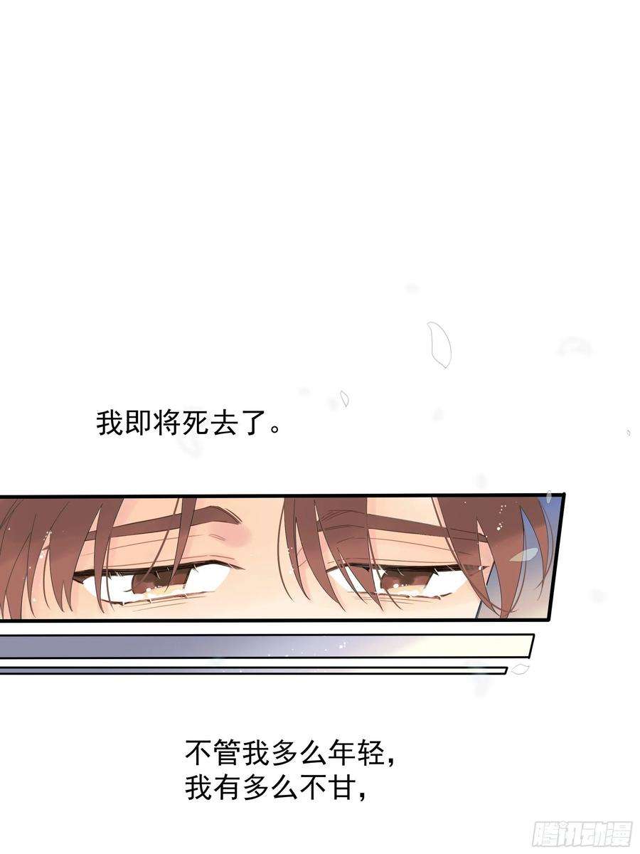 种子与十日十夜倒数时刻