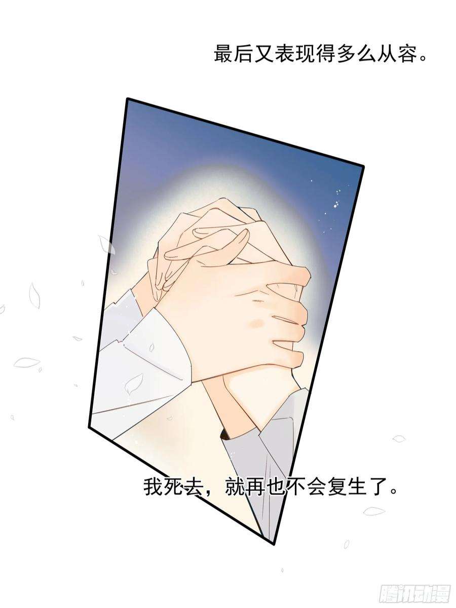 种子与十日十夜倒数时刻