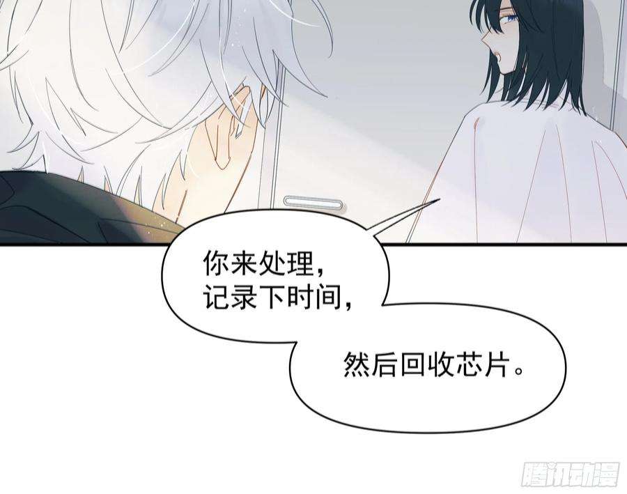 种子与十日十夜倒数时刻
