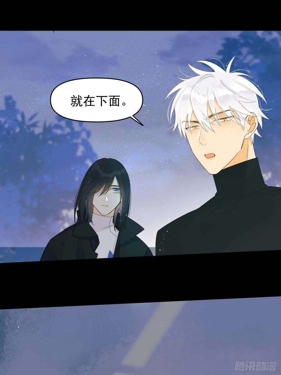 种子与十日十夜灾难与偏见