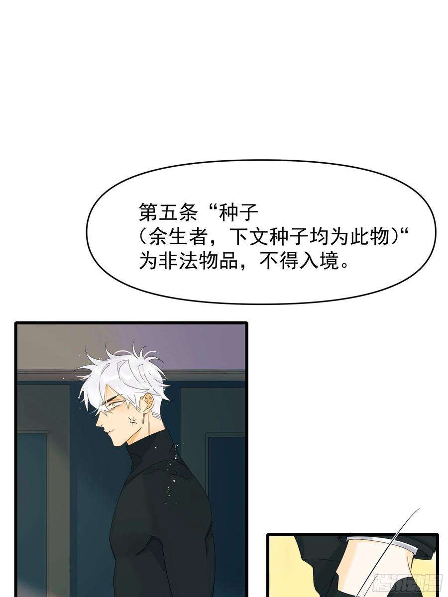 种子与十日十夜灾难与偏见