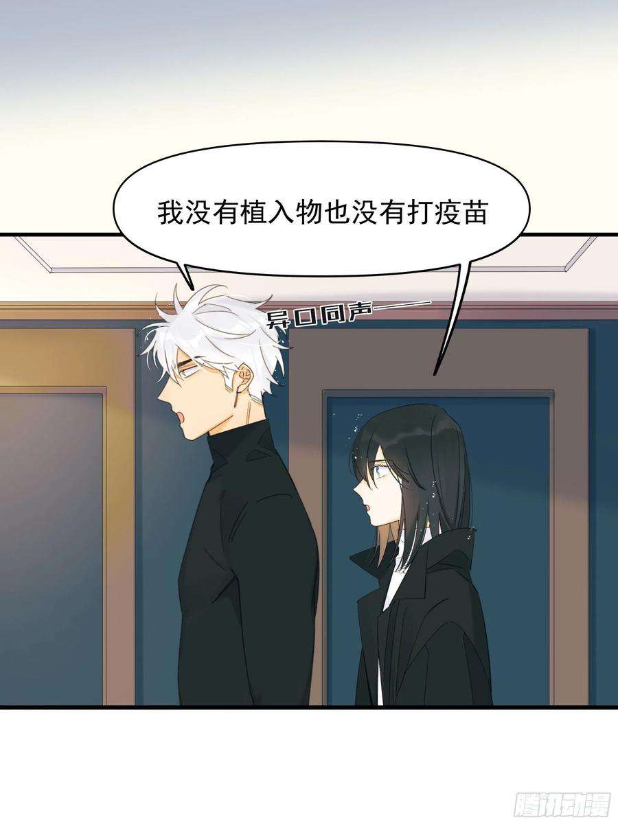 种子与十日十夜灾难与偏见
