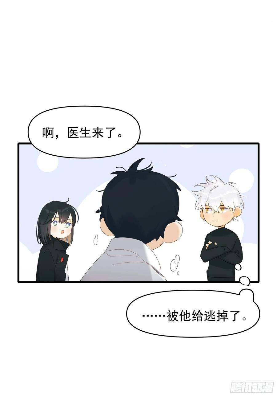 种子与十日十夜灾难与偏见