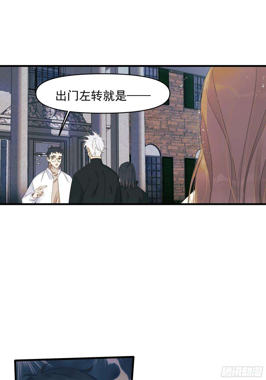 种子与十日十夜偏见与爱情