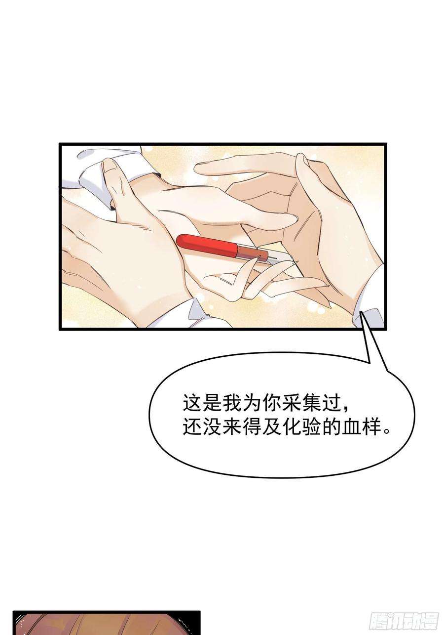 种子与十日十夜偏见与爱情