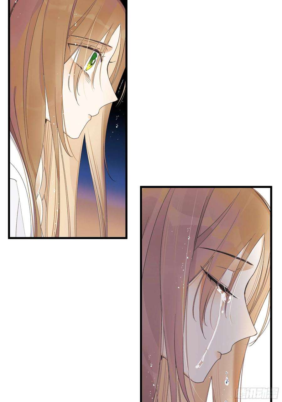 种子与十日十夜偏见与爱情