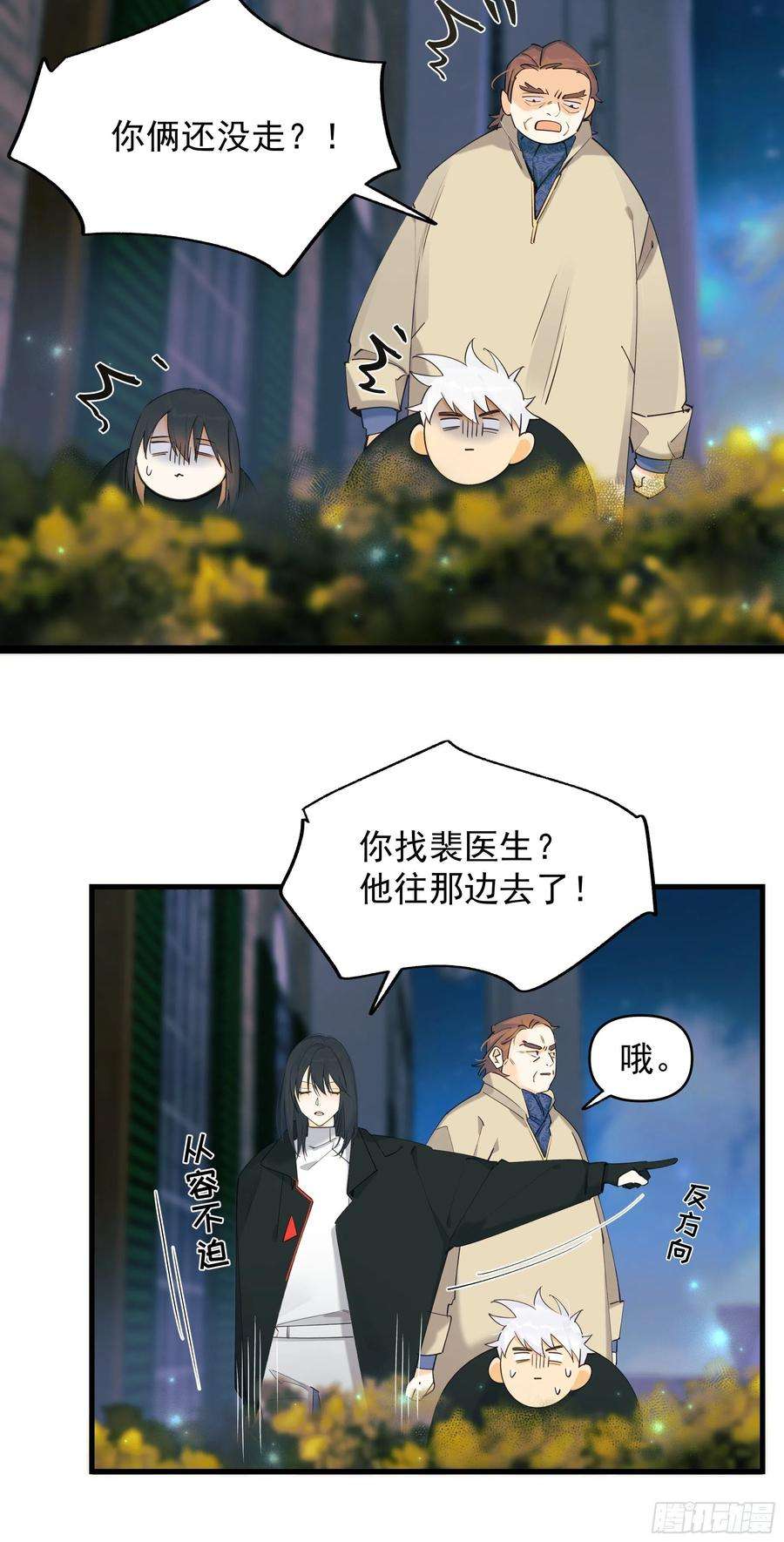 种子与十日十夜偏见与爱情