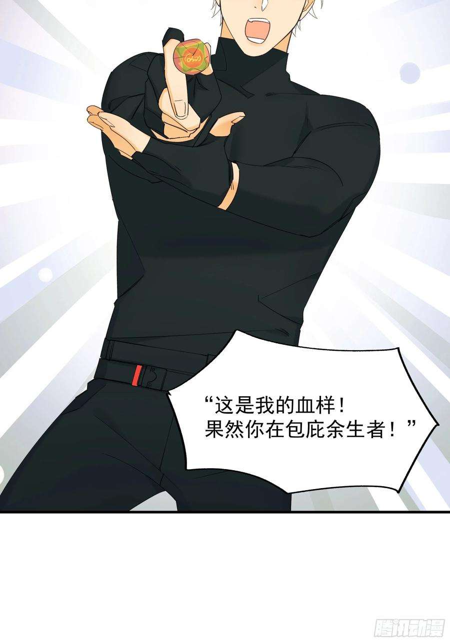 种子与十日十夜偏见与爱情