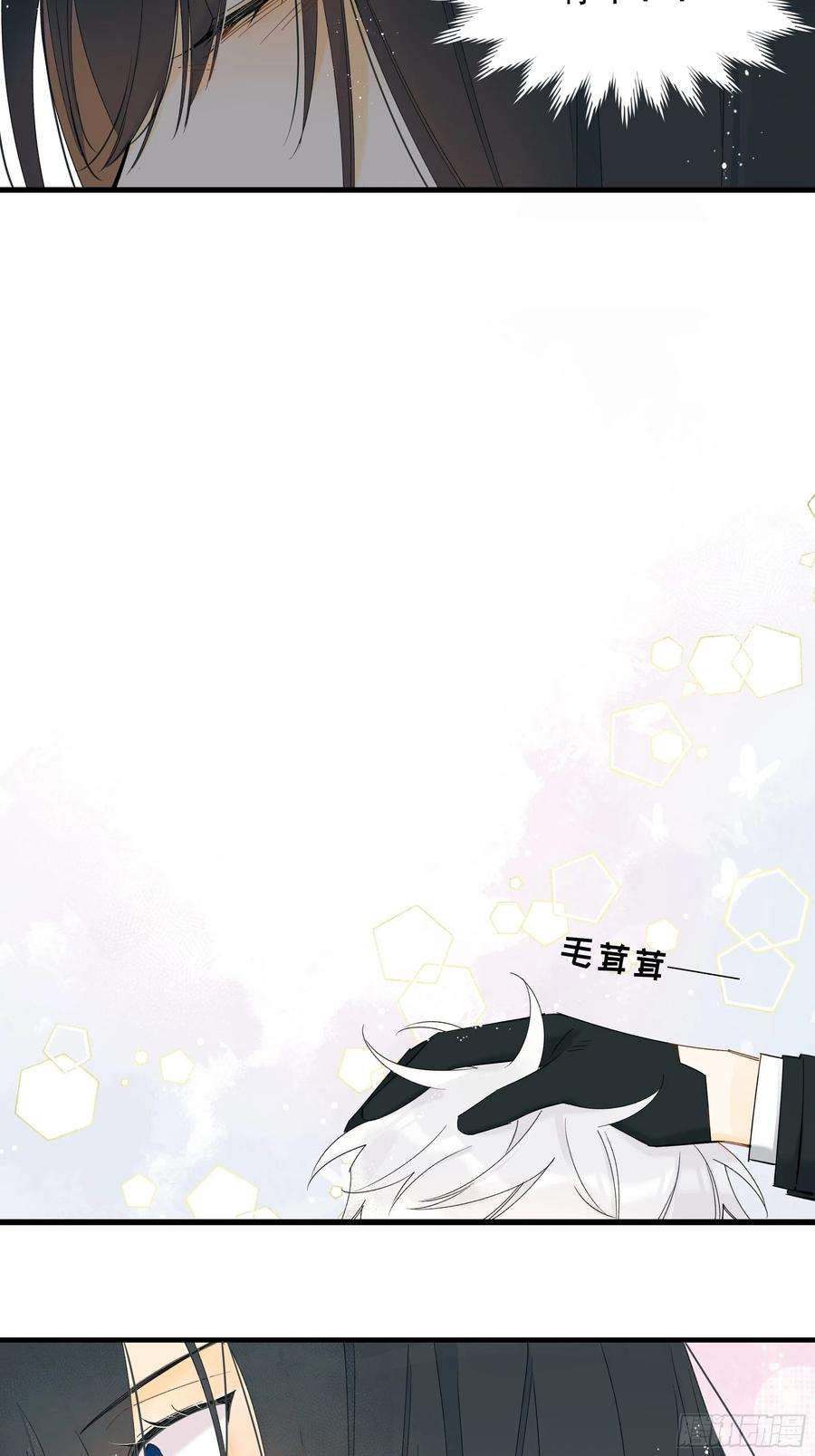 种子与十日十夜偏见与爱情