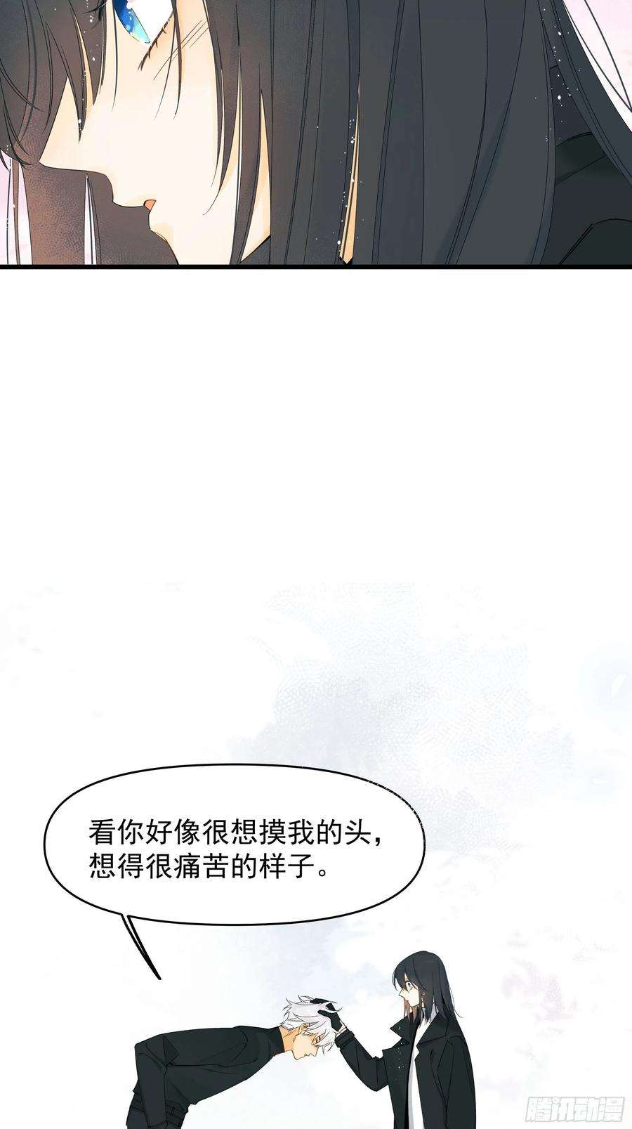 种子与十日十夜偏见与爱情