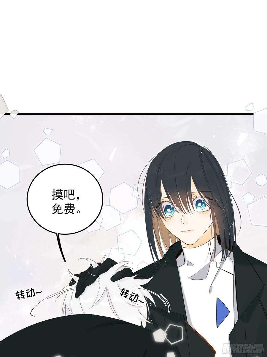 种子与十日十夜偏见与爱情