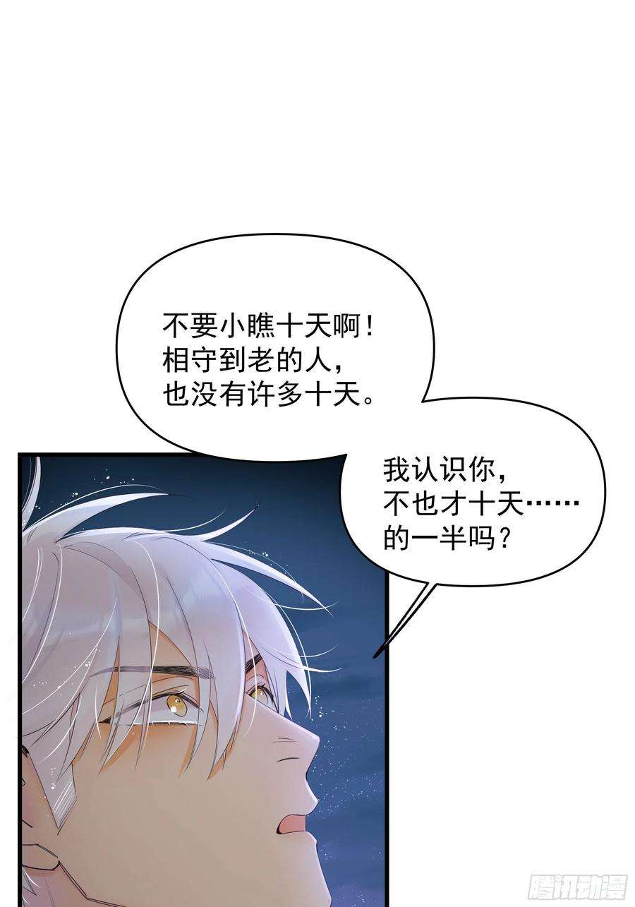 种子与十日十夜偏见与爱情