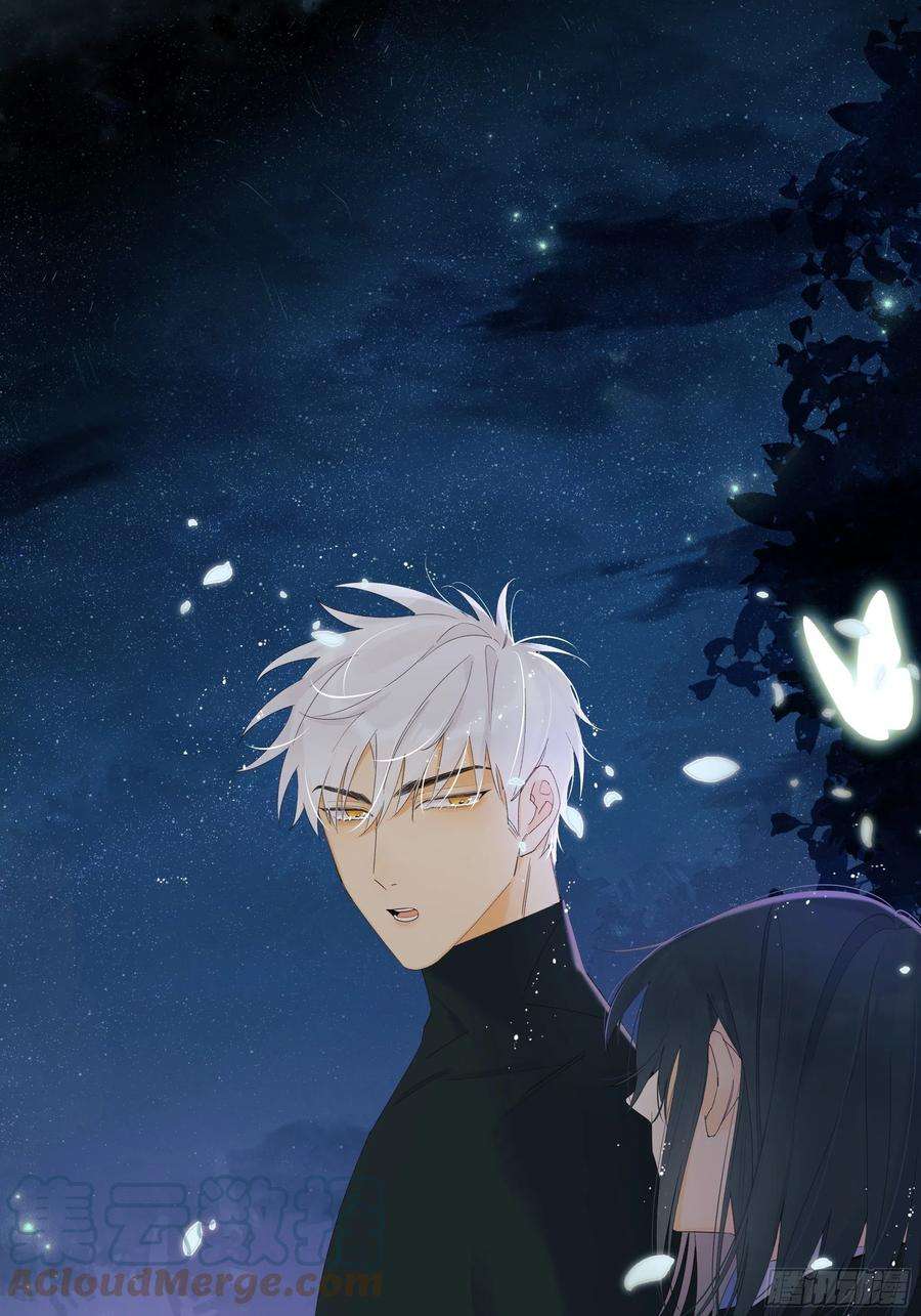 种子与十日十夜偏见与爱情