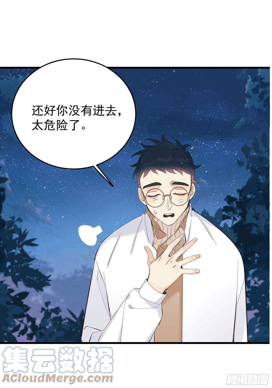 种子与十日十夜偏见与爱情