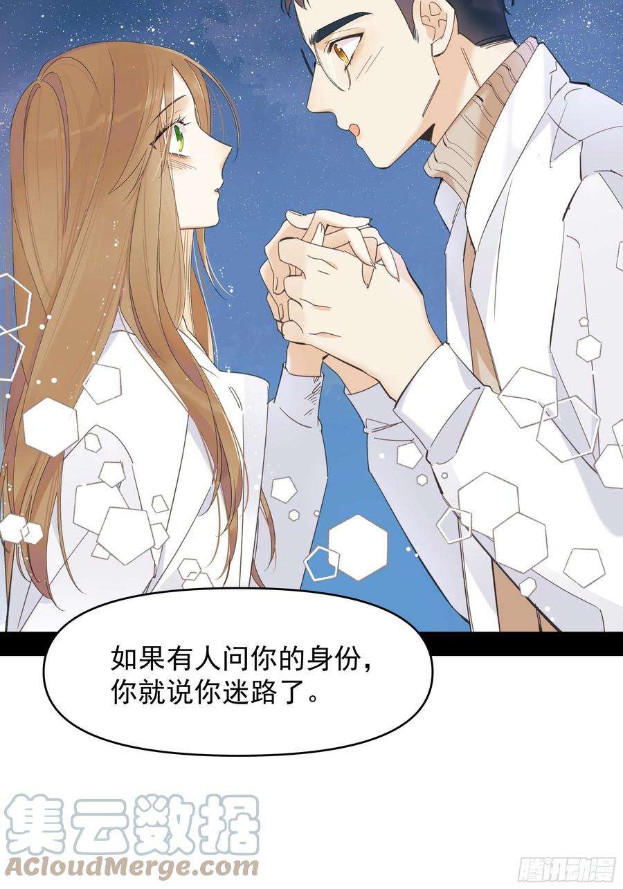 种子与十日十夜偏见与爱情