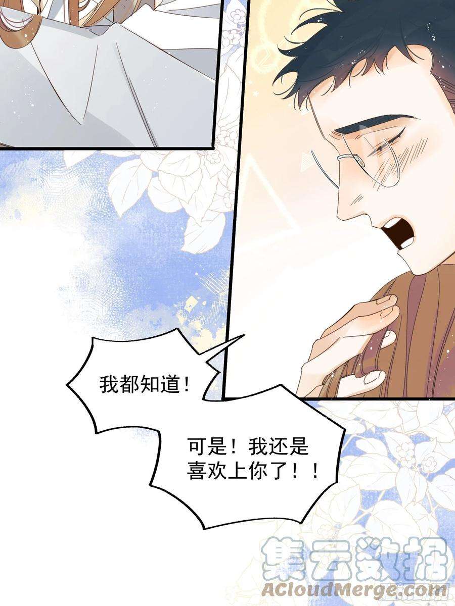 种子与十日十夜爱情与勇气